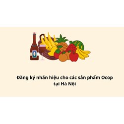Đăng ký nhãn hiệu cho các sản phẩm OCOP tại Hà Nội như thế nào?