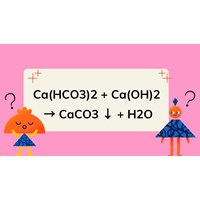 Cân bằng phương trình Ca(HCO3)2 + Ca(OH)2 → CaCO3 ↓ + H2O