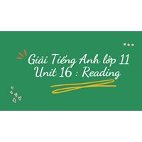 Giải Tiếng Anh lớp 11 Unit 16 : Reading chi tiết nhất
