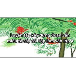 Luyện tập xây dựng đoạn văn miêu tả cây cối Tập làm văn lớp 4
