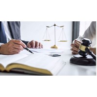 Ai có quyền bầu Ban Chấp hành Chi hội Luật gia trực thuộc?