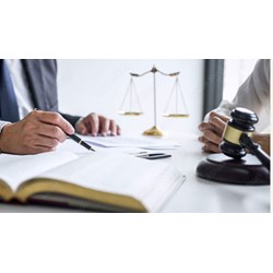 Ai có quyền bầu Ban Chấp hành Chi hội Luật gia trực thuộc?