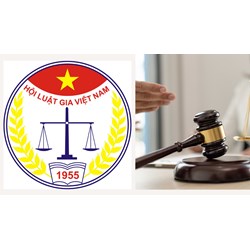 Ai quyết định bầu cử Ban Kiểm tra Hội Luật gia Việt Nam?