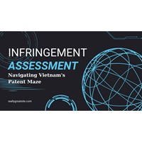 Navigating Vietnam's Patent Maze: Infringement Assessment A to Z