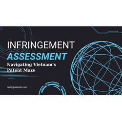 Navigating Vietnam's Patent Maze: Infringement Assessment A to Z