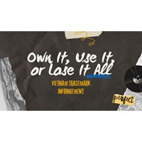 Vietnam Trademark Infringement: Own It, Use It, or Lose It All