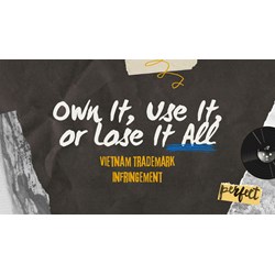 Vietnam Trademark Infringement: Own It, Use It, or Lose It All