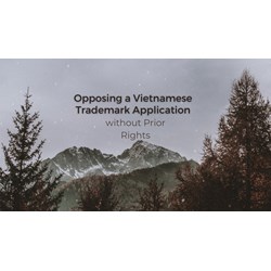 Opposing a Vietnamese Trademark Application without Prior Rights
