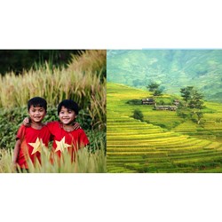 Phân tích "Tiếng Việt lớp trẻ bây giờ" siêu hay - Ngữ văn lớp 11