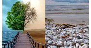 Gây ra sự cố môi trường phải trả toàn bộ chi phí phục hồi môi trường?