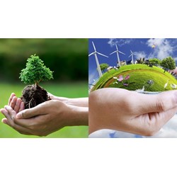 Ủy ban phải lưu trữ và quản lý thông tin về môi trường trên địa bàn?