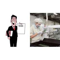 Có thể giao kết gián tiếp HĐLĐ thông qua vai trò của người đại diện không?