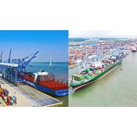 Quy định về hồ sơ, thủ tục để tàu hàng xuất cảnh tại cảng biển