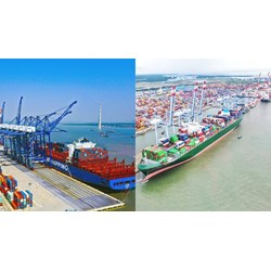 Quy định về hồ sơ, thủ tục để tàu hàng xuất cảnh tại cảng biển