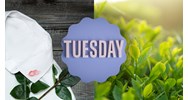 Stt, cap cà khịa người thứ 3, trà xanh, tiểu tam thâm thuý, sâu cay