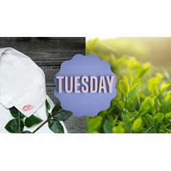 Stt, cap cà khịa người thứ 3, trà xanh, tiểu tam thâm thuý, sâu cay