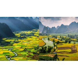 Dàn ý phân tích bài Đất nước của Nguyễn Khoa Điềm chi tiết nhất