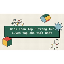 Giải Toán lớp 5 trang 167 Luyện tập chi tiết nhất
