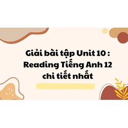 Giải bài tập Unit 10 : Reading Tiếng Anh 12 chi tiết nhất