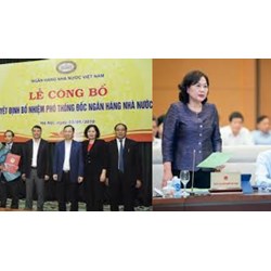 Thẩm quyền bổ nhiệm Phó Thống đốc Ngân hàng nhà nước Việt Nam?