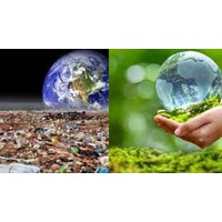 Phải thực hiện công khai thông tin về môi trường ở đâu và khi nào?