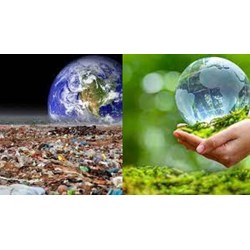 Phải thực hiện công khai thông tin về môi trường ở đâu và khi nào?