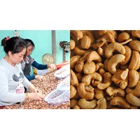 Thuế suất thuế giá trị gia tăng với doanh nghiệp gia công nhân hạt điều