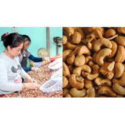 Thuế suất thuế giá trị gia tăng với doanh nghiệp gia công nhân hạt điều