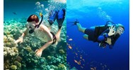 Nhà cung cấp dịch vụ lặn có ống thở có thể là cá nhân hay không?