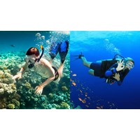 Nhà cung cấp dịch vụ lặn có ống thở có thể là cá nhân hay không?