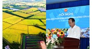 Quy định về Hội đồng điều phối tại vùng đồng bằng sông Cửu Long?