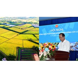 Quy định về Hội đồng điều phối tại vùng đồng bằng sông Cửu Long?