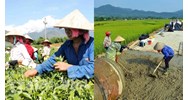 Nội dung đánh giá hằng năm chương trình mục tiêu quốc gia bao gồm?