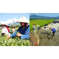 Nội dung đánh giá hằng năm chương trình mục tiêu quốc gia bao gồm?