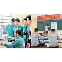 Giáo viên giáo dục nghề nghiệp cao cấp buộc phải có bằng tiến sĩ?