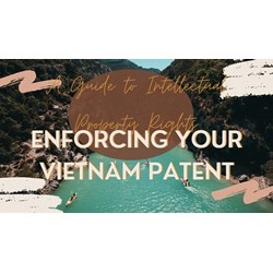 Enforcing Your Vietnam Patent: A Q&A Guide to Action & Success