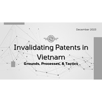 Invalidating Patents in Vietnam: Grounds, Processes, & Tactics