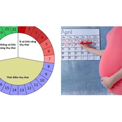 Hướng dẫn xác định tuổi thai để tính chế độ thai sản