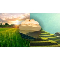 Tả một cảnh thiên nhiên ở địa phương mà em thích nhất