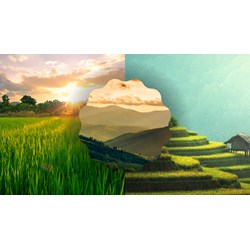 Tả một cảnh thiên nhiên ở địa phương mà em thích nhất