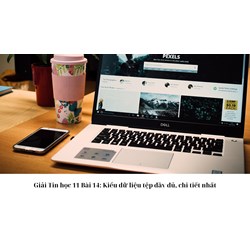 Giải Tin học 11 Bài 14: Kiểu dữ liệu tệp đầy đủ, chi tiết nhất