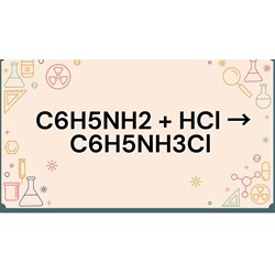 Cân bằng phản ứng hoá học C6H5NH2 + HCl → C6H5NH3Cl