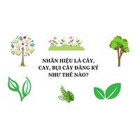Đăng ký nhãn hiệu với hình lá cây, cây, bụi cây làm như thế nào?