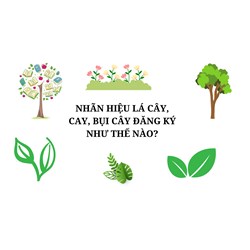 Đăng ký nhãn hiệu với hình lá cây, cây, bụi cây làm như thế nào?