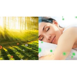 Ion âm là gì? Tác dụng của Ion âm đối với sức khoẻ như thế nào?