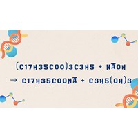 (C17H35COO)3C3H5 + NaOH → C17H35COONa + C3H5(OH)3 (Tristearin + NaOH)