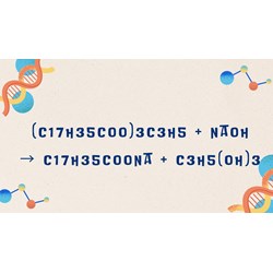 (C17H35COO)3C3H5 + NaOH → C17H35COONa + C3H5(OH)3 (Tristearin + NaOH)