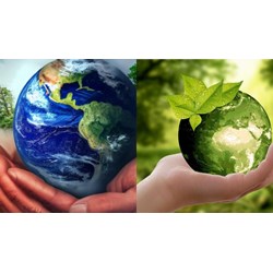 Nghĩa vụ của nhà nước đối với bảo vệ môi trường hiện nay