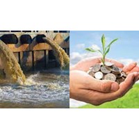 Sản xuất cao su nộp phí bảo vệ môi trường với nước thải công nghiệp?