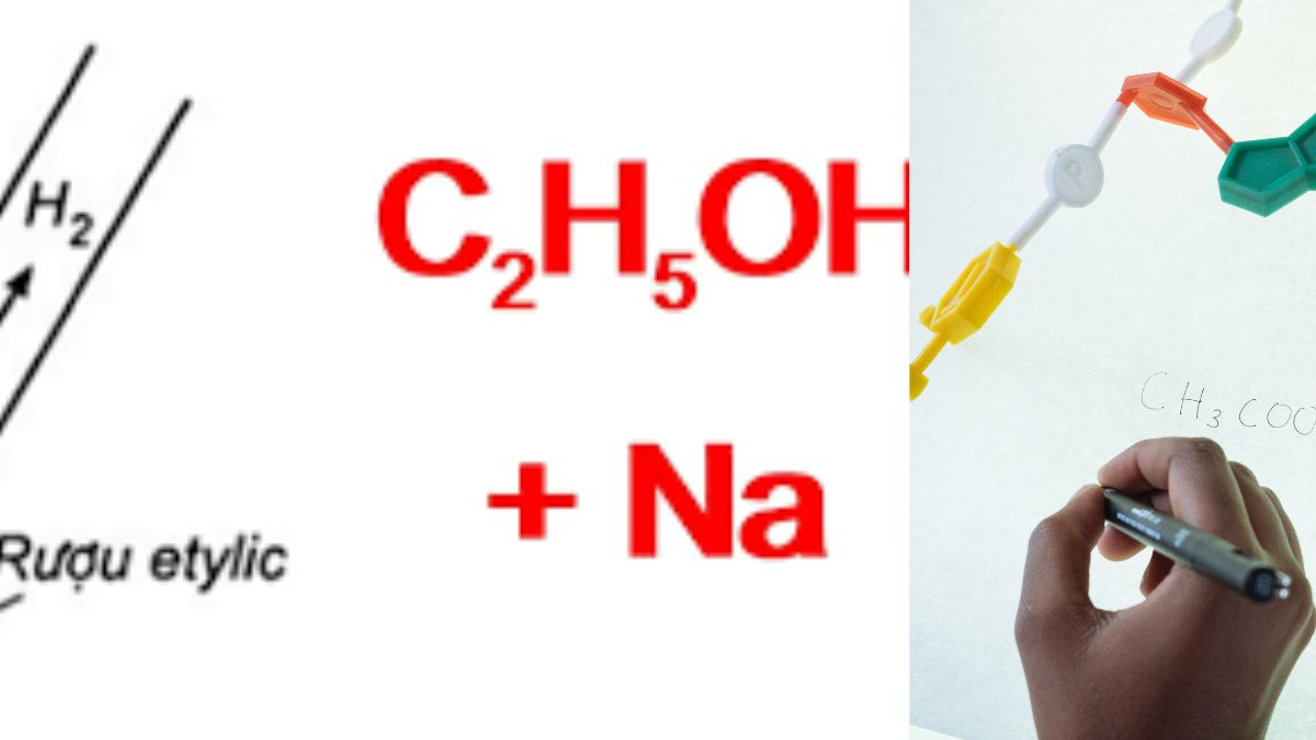 cân bằng phương trình c 2 h 5 oh na